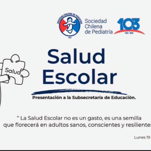 Propuesta de salud escolar integral para promover el bienestar y la salud de los estudiantes chilenos